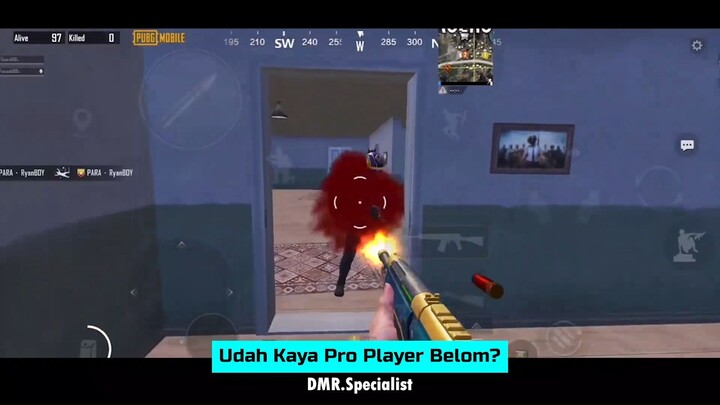 Udah Kaya Pro Player Belom?