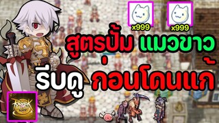 Ragnarok Labyrinth NFT : วิธีปั้มแมวขาวให้เยอะในแต่ละวัน (รีบดูก่อนโดนแก้) !!!