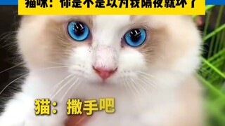 小猫：你个穷鬼先养活自己吧！放开我