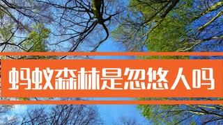 蚂蚁森林是忽悠人的吗？带你坐卫星去沙漠里看个究竟