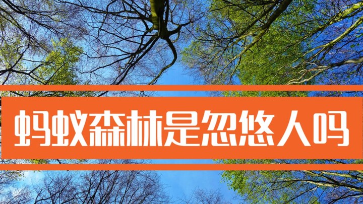 蚂蚁森林是忽悠人的吗？带你坐卫星去沙漠里看个究竟