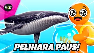 Pelihara Paus! - Aquarium Land