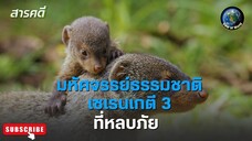 มหัศจรรย์ธรรมชาติ...เซเรนเกตี 3 ตอน ที่หลบภัย สารคดีพากย์ไทย SERENGETI III (Serengeti Sr3)