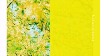 幾田りら(YOASOBI主唱Ikura)个人新曲「ヒカリ」完整版