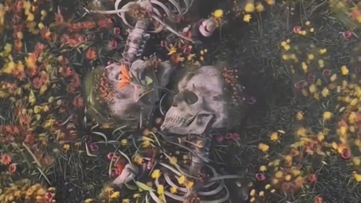 Mơ một giấc mơ kỳ lạ