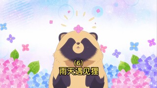 没想到狸猫竟然还会恐高。