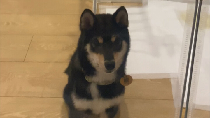 Bedroom Defense Battle 5