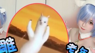 Tarian alpaka cuci otak yang gila ~ tarian Rem yang lucu online! Sekali sehari untuk mencegah depres