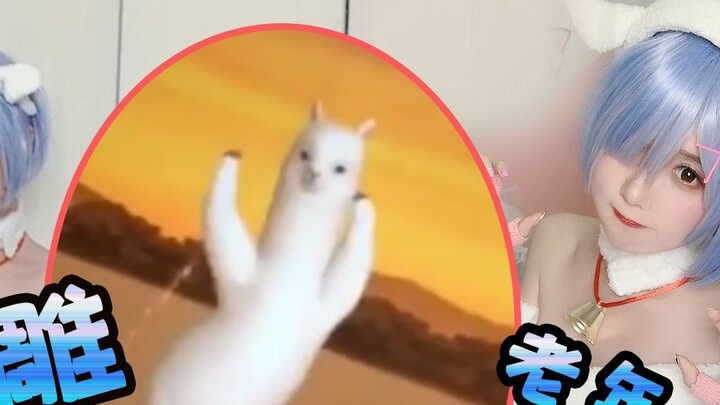 Crazy brainwashing alpaca dance~cute Rem dancing online! Once a day to prevent depression~|cos to [C