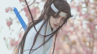 【ผู้เฒ่าแห่ง Demon Dao】【Lan Sizhui】หัวใจและถุงน้ำดีอยู่ในดาบ