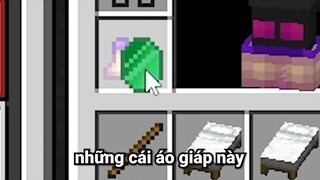 Minecraft, Nhưng Bạn Chế Tạo Áo Giáp Vô Cực