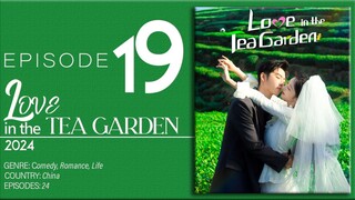 🇨🇳EP19 Love In The Tea Garden (2024)