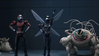 【Robot Ayam】s10e19 Ant-Man dan Tawon