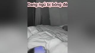 Không những bị đè còn bị vả😆mèo cute foryou