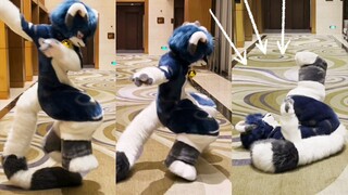 "Won't your tail, which is so long, trip you up?"