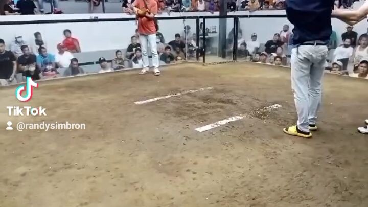 pasensya na saingay🐓🐓