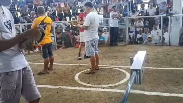 2hits champion 1st fight, 2x win Hennie kanowayon.