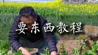 要东西教程