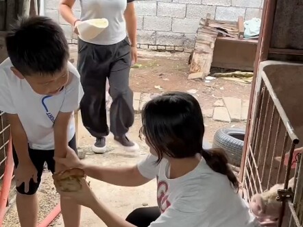 吃口肉怎么就这么难呢