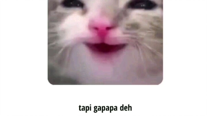 masukkan judul (wajib)