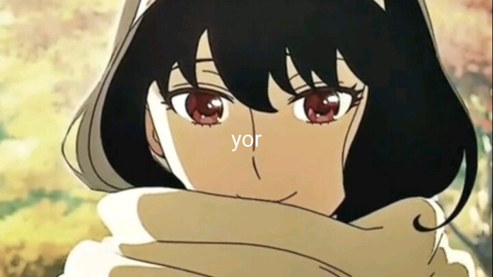 yor edit chili