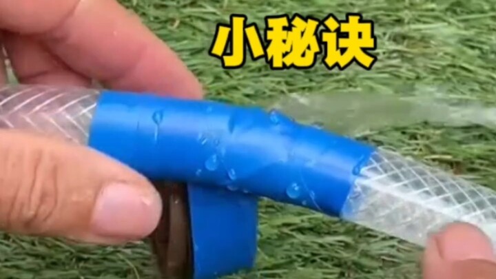 Little Tip