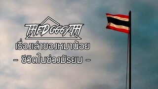 ชีวิตช่วงมัธยมที่มีแค่ช่วงเดียวในชีวิต✏️ | DoggyTH