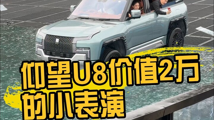 The cost of diving at the auto show is very high.