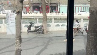 Tangkap Koki Hidup-hidup @Detektif Sejati Tang Renjie