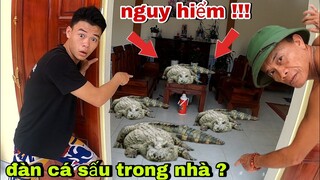 Ngọc TB - Bị Kẻ Bí Ẩn ? Thả Cả Đàn Cá Sấu Nguy Hiểm Vào Nhà...!