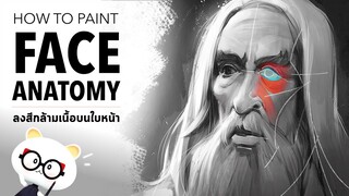 ลงสีกล้ามเนื้อบนใบหน้า | Face anatomy in painting