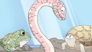 The horned frog has a big mouth and eats everything. If it chokes, it will die.
