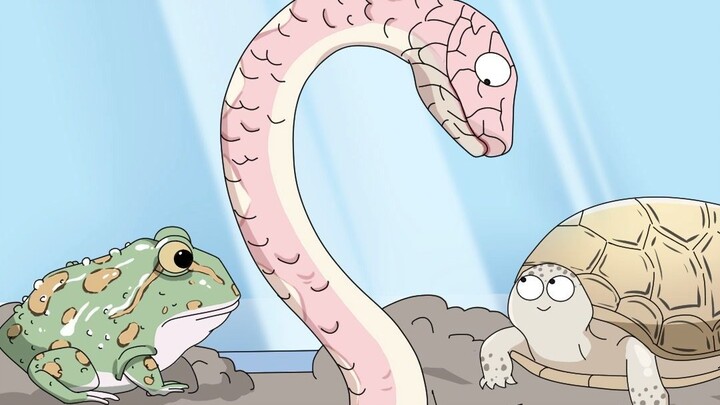 Ếch sừng có cái miệng lớn và ăn tất cả mọi thứ. Nếu nó bị nghẹn, nó sẽ chết.