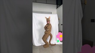 Kangaroo 🦘 Hao 🐸 #seventeen #the8