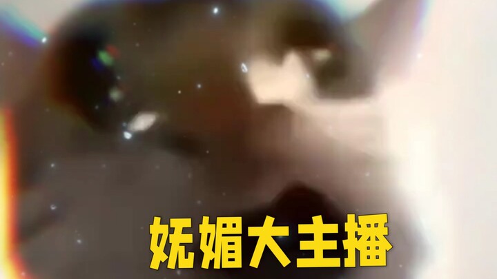 สตรีมเมอร์สุดเซ็กซี่! ฉันจะเลิกติดตามเธอแล้ว! ไปให้พ้น!