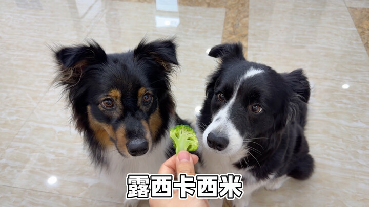 Thẻ và lộn xộn bát nháo