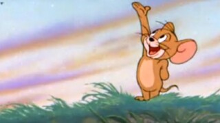 "Chúa biết dòng sông", nhưng "Tom và Jerry"