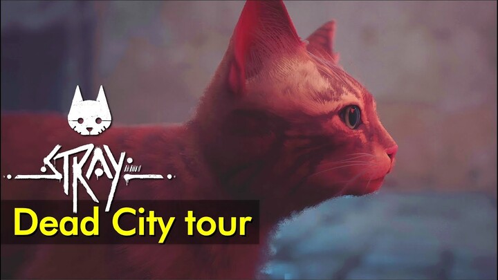 Dead City tour | Stray