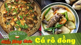 CÁ RÔ ĐỒNG 7 MÓN ngon bá chấy ăn hoài hổng ngán - Bạn đã thử chưa?| Đặc sản miền sông nước