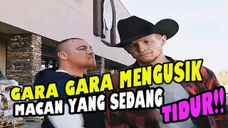 JANGAN PERNAH MENGUSIK MACAN YANG SEDANG TIDUR
