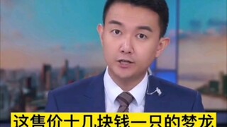 Menglong is on the verge of death!