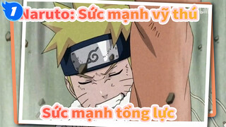 [Naruto] Sức mạnh tổng lực trong Sức mạnh vỹ thú!_1