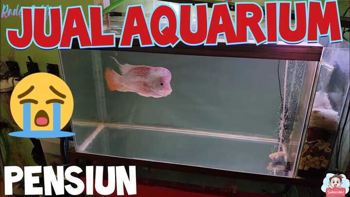 HARUS NGEJUAL AQUARIUM..BYE
