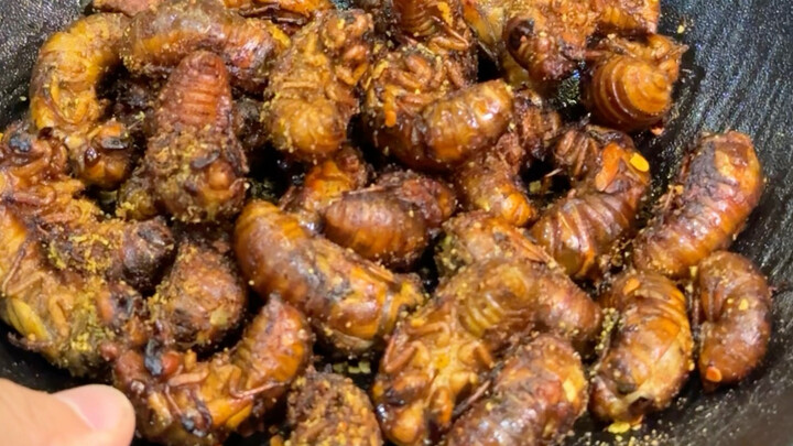 Orang Manchuria kali pertama mencicipi jangkrik emas, ini benar-benar anugerah alam, protein murni! 