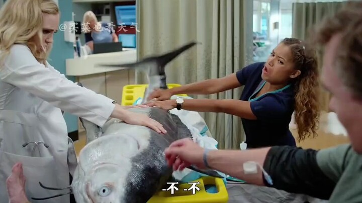 Dokter Hebat: Seberapa gigih seorang penggemar memancing yang sudah berpengalaman