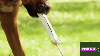 Chia sẻ niềm vui phần 1 #justforfun