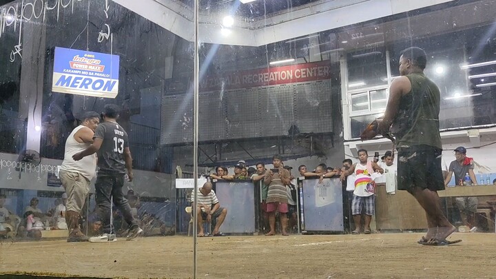 2nd fight win, our kelso 1x winner son of our 7xwinner kelso...Manong Singko Gamebirds.