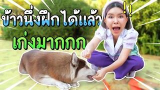 ข้าวนึ่งข้าวนุ่มฝึกได้มั้ยเอ่ย EP.1 ฝึกน้องหมาหมอบครั้งแรกในชีวิต  - ข้าวนึ่ง & เดอะแก๊ง
