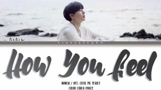 OST CUTIE PIE THE SERIES BY NUNEW (HOW YOU FEEL WITH LYRICS)
