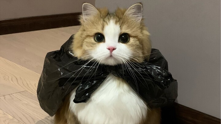 You love trash bags, huh? I’m locking you out for good.